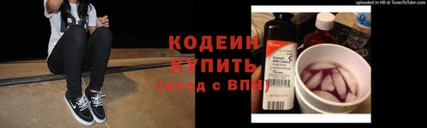 стаф Няндома