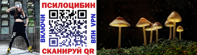 Галлюциногенные грибы Psilocybine cubensis  Купить  Баймак 
